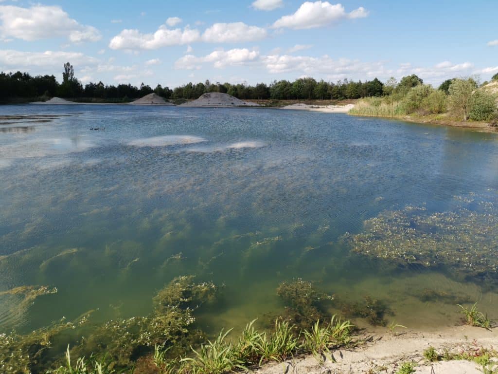 Stark verkrauteter Baggersee: hier ist es schwer zu Loten oder den Gewässergrund zu erkunden.
