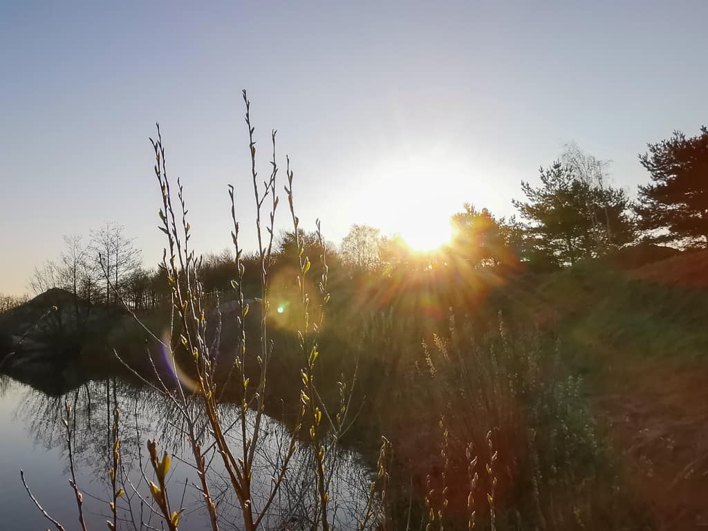 Frührjahr die Natur wacht auf